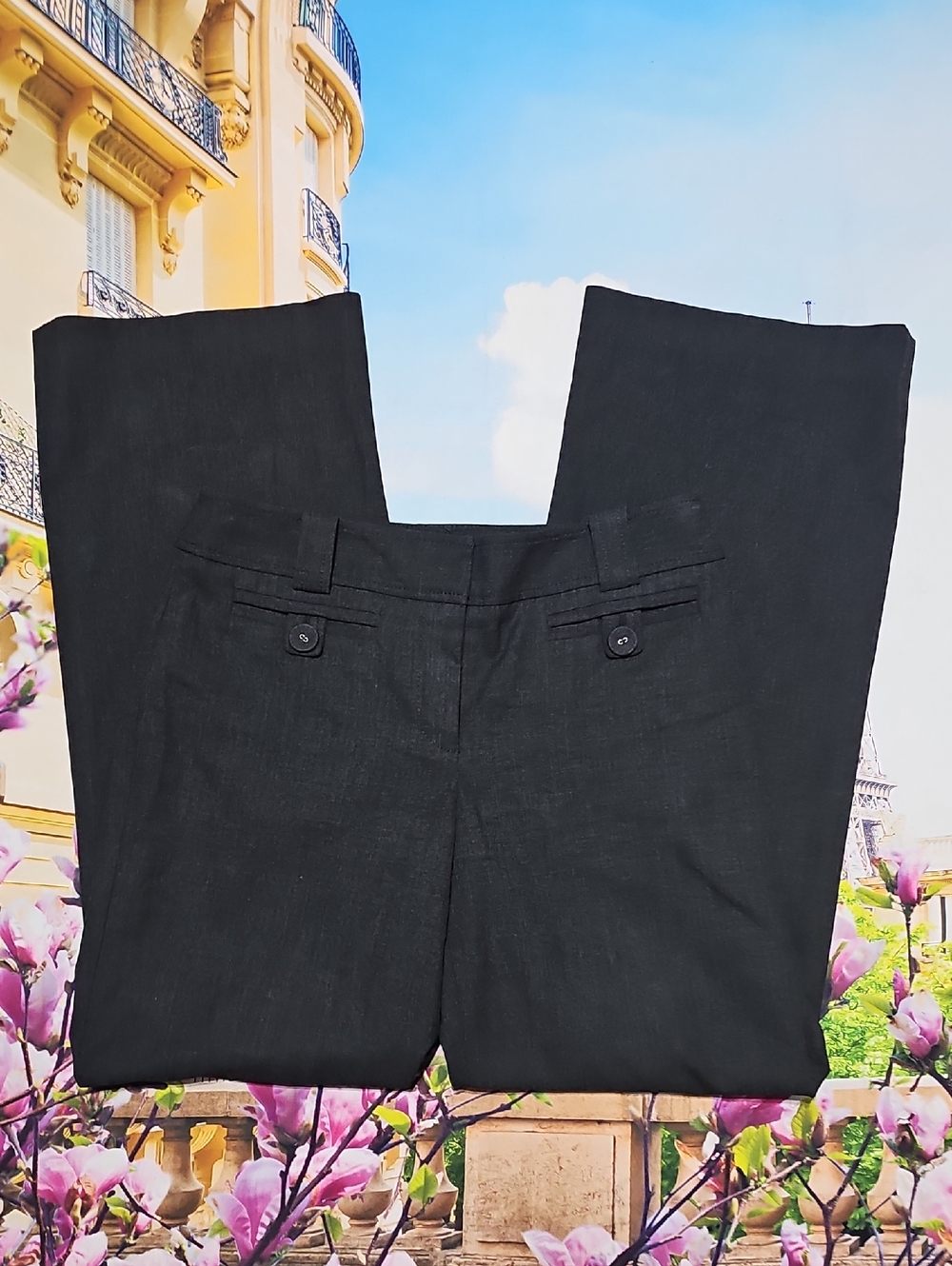 Ann Taylor Margo Dress Pants Size 2P Petite